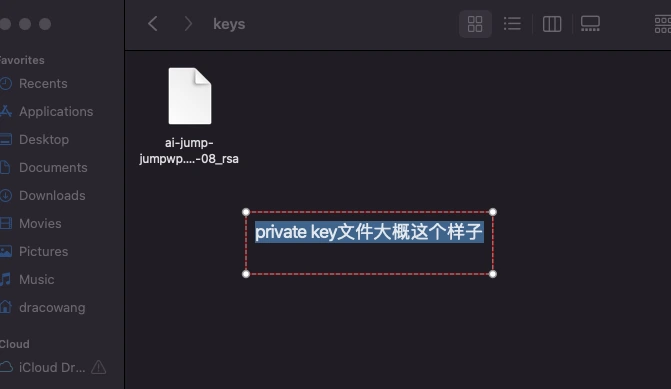 第 6 步:核对私钥文件与权限:文件存在,路径准确,只有当前用户可读写。